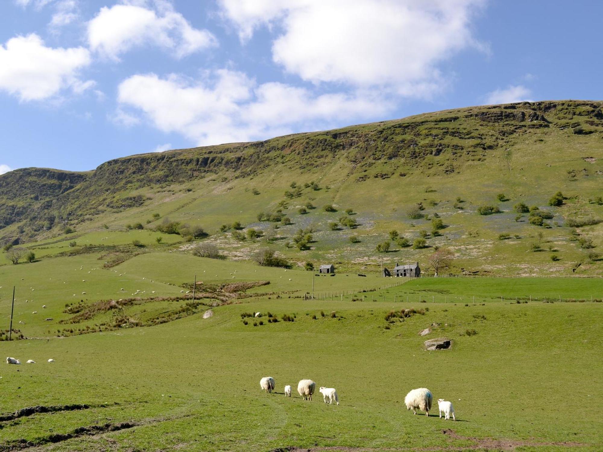 Maybill Cottage Penmachno エクステリア 写真